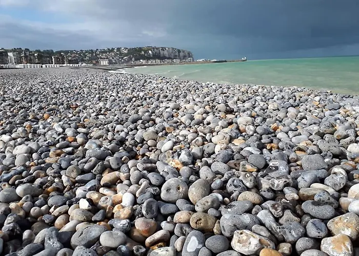 Avec Vue Face Imprenable Mers-les-Bains